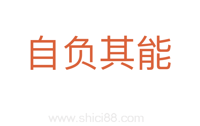 自负其能