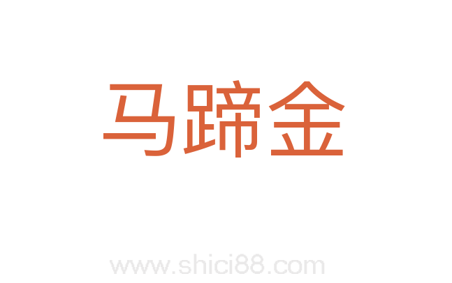 马蹄金