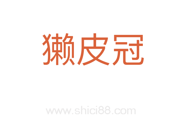 獭皮冠