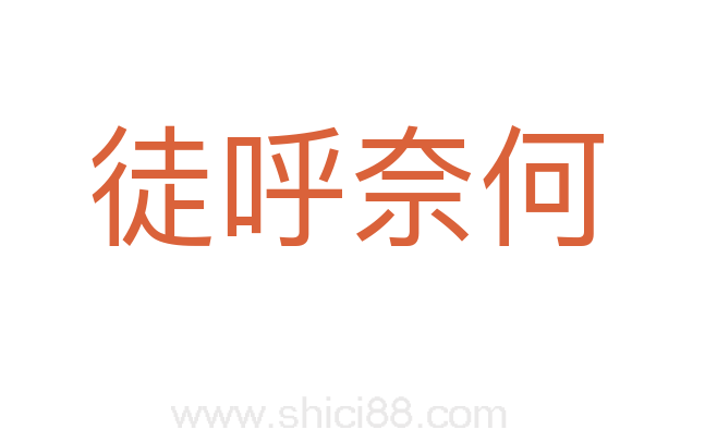 徒呼奈何