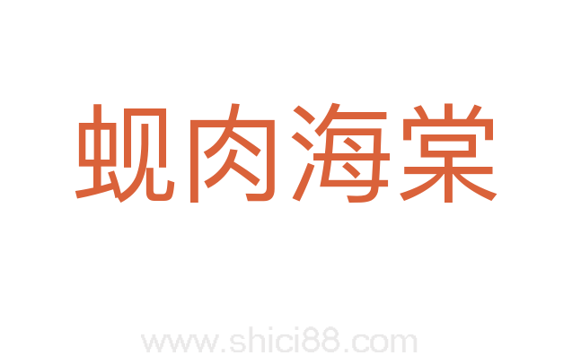 蚬肉海棠