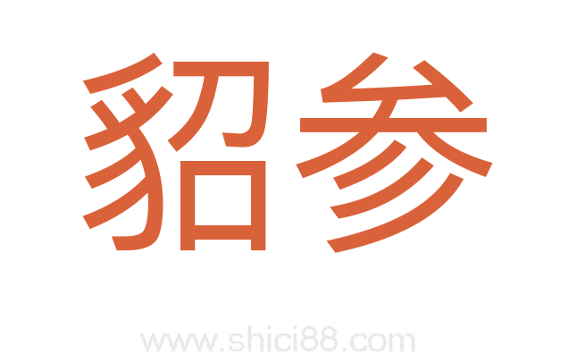 貂参
