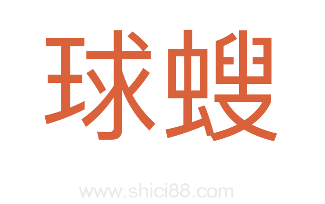 球螋