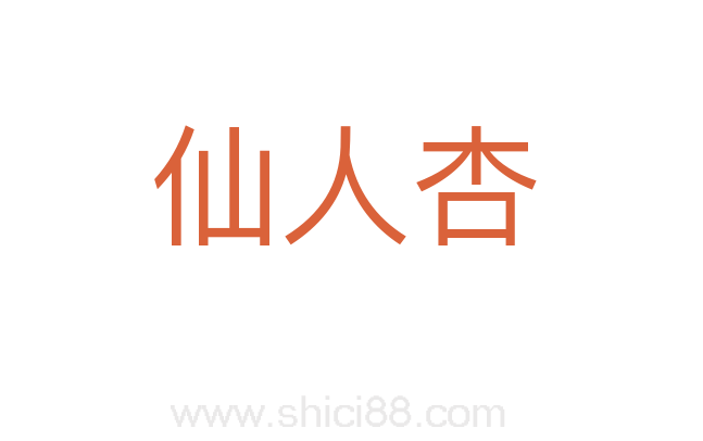 仙人杏