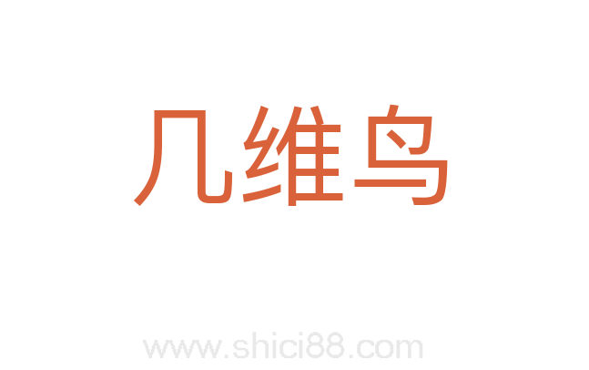 几维鸟