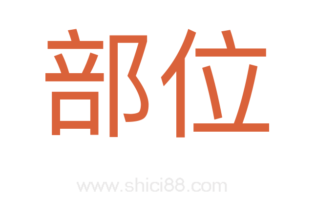 部位