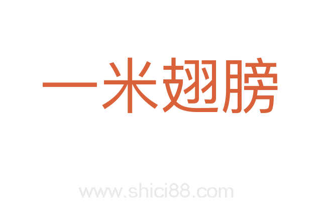 一米翅膀