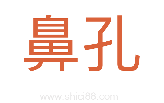 鼻孔