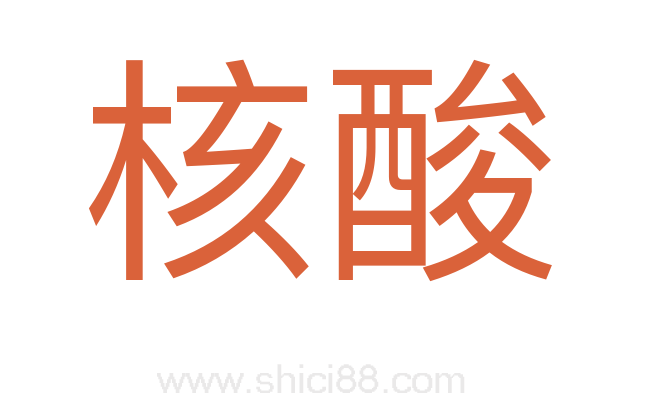 核酸