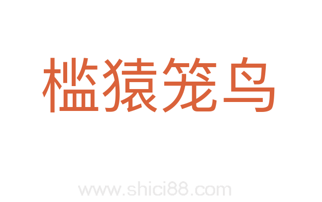 槛猿笼鸟