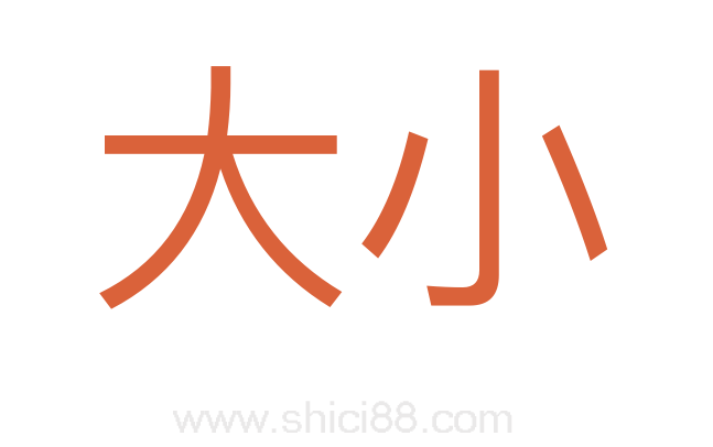 大小