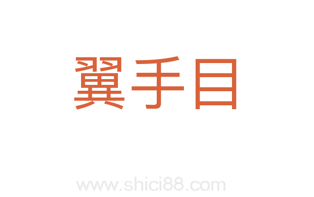 翼手目