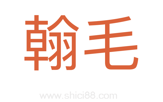 翰毛