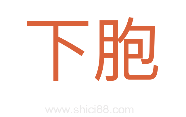 下胞