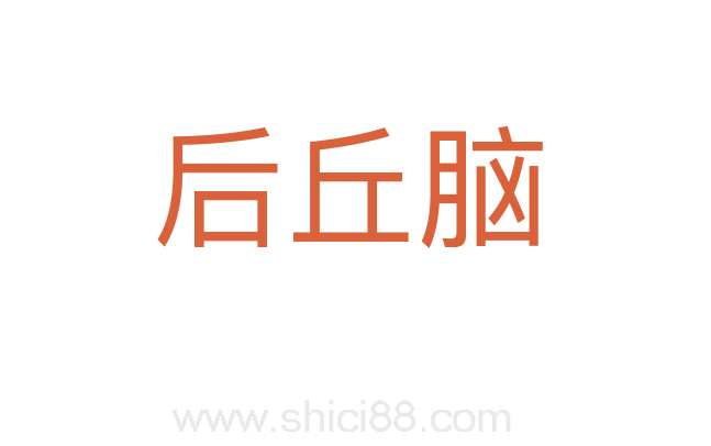 后丘脑