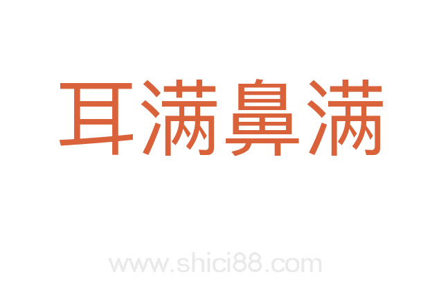 耳满鼻满