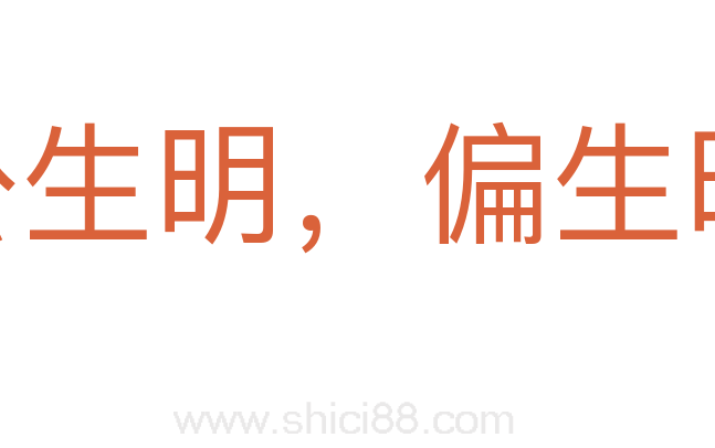 公生明,偏生暗