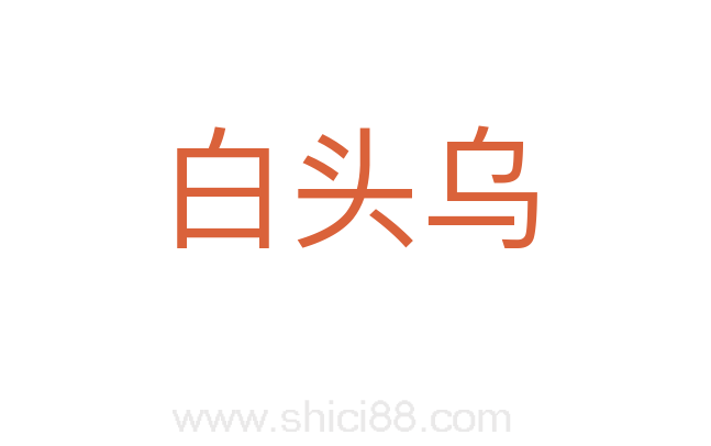 白头乌