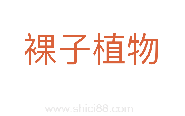 裸子植物
