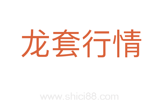 龙套行情