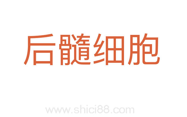 后髓细胞
