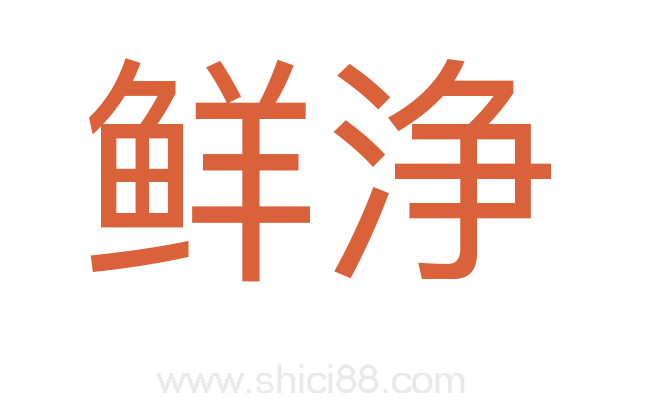 鲜浄