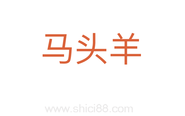 马头羊