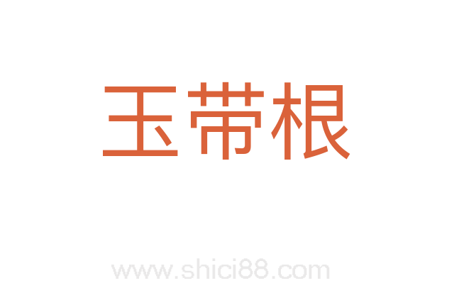 玉带根