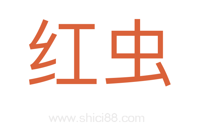 红虫