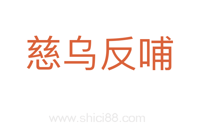 慈乌反哺
