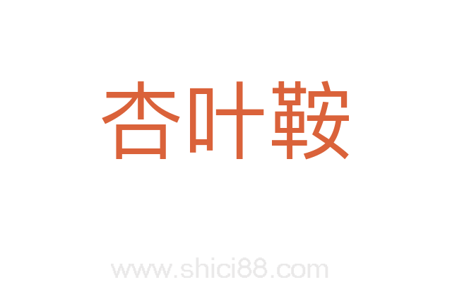 杏叶鞍