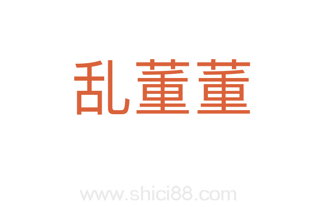 乱董董