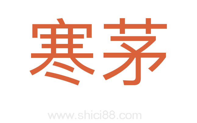 寒茅