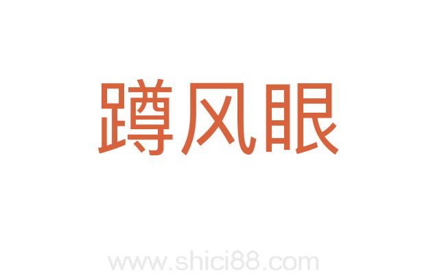 蹲风眼